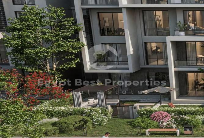 7971338 - Property Image 3