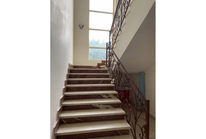 8201040 - صورة العقار 3