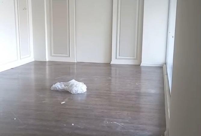 7931066 - صورة العقار 2