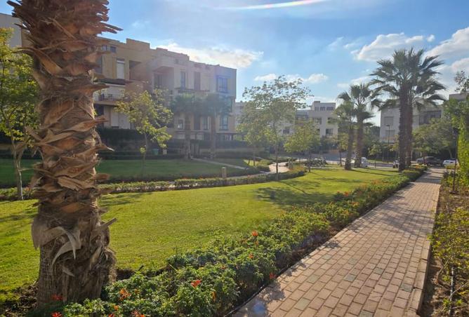 8196131 - صورة العقار 3