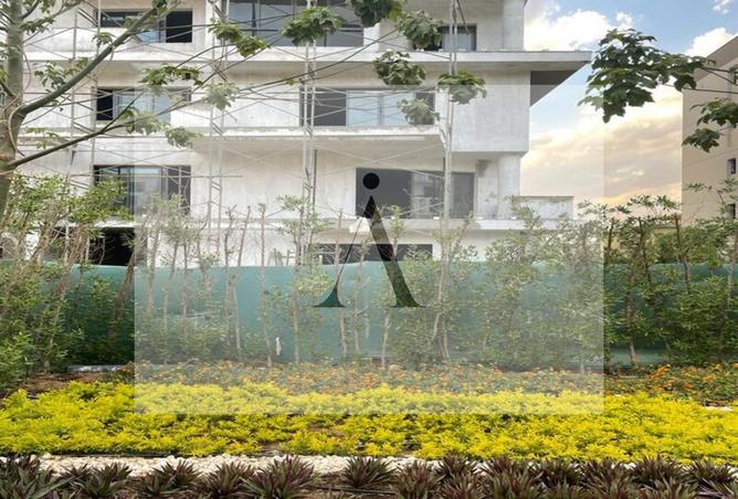 8535073 - صورة العقار 3