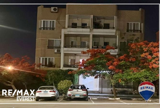 8033429 - Property Image 3