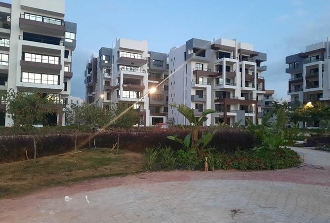 7899137 - صورة العقار 2