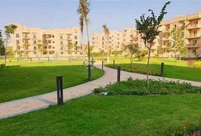 8376425 - Property Image 3