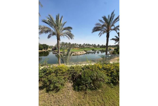 8419862 - Property Image 2