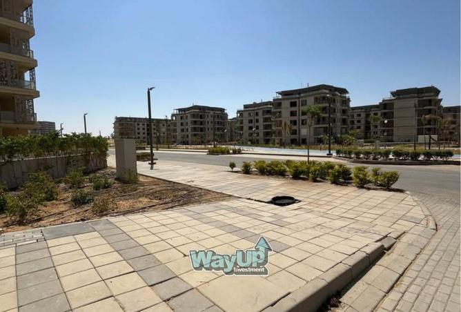 8385091 - Property Image 3