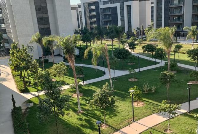 8022825 - صورة العقار 2