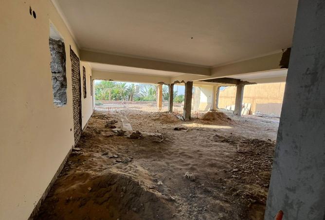8150123 - Property Image 3
