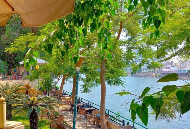 8399250 - صورة العقار 3