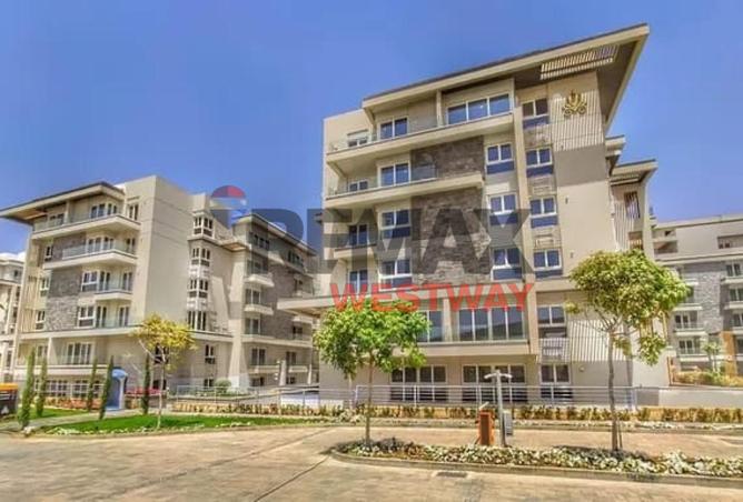 8439856 - Property Image 3