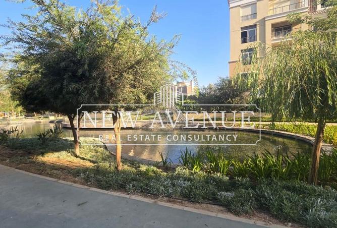 8020375 - Property Image 3