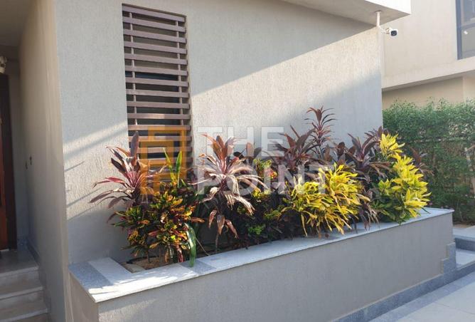 8393691 - صورة العقار 2