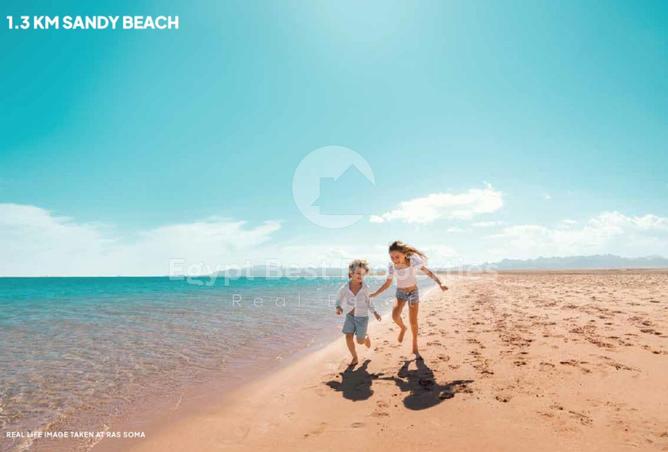 8228720 - صورة العقار 3