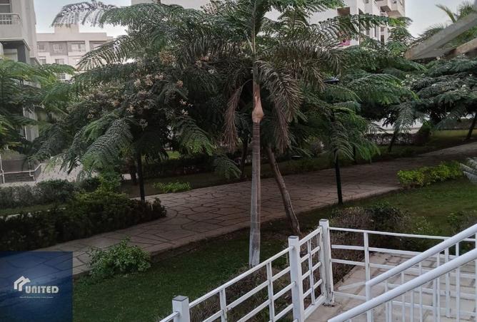 8564340 - الصورة الرئيسية للعقار