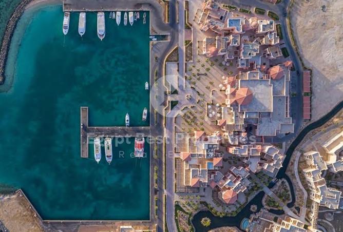 8238368 - صورة العقار 2