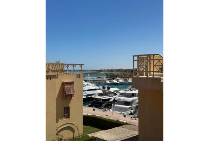 8126799 - Property Image 3