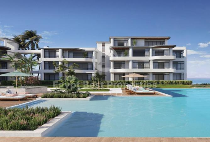 8067426 - Property Image 3