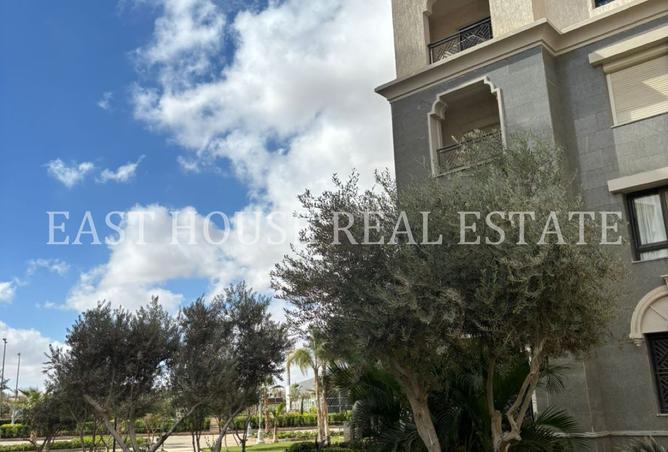 8102529 - صورة العقار 2