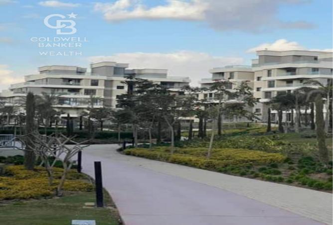 7984835 - صورة العقار 2