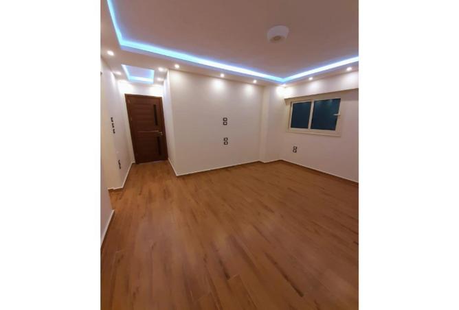 8079830 - Property Image 2