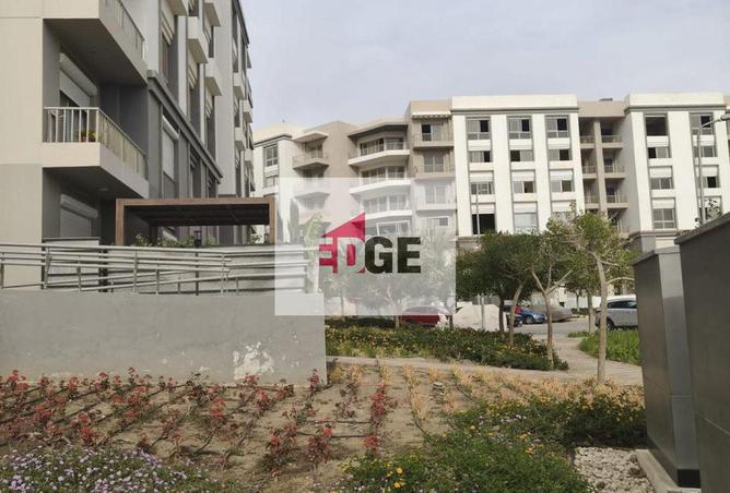 8371198 - Property Image 3