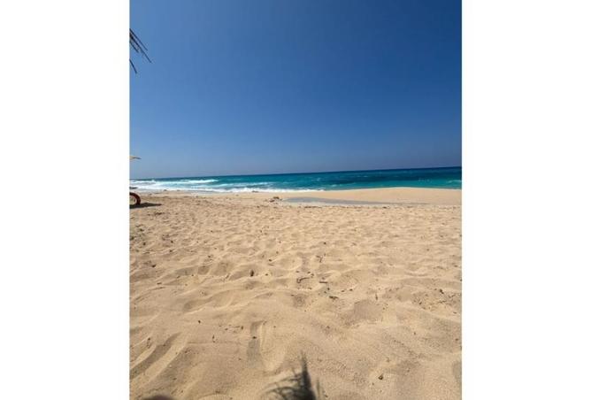 7899639 - صورة العقار 3