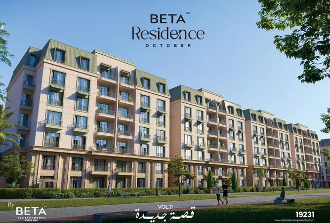 8289990 - Property Image 3