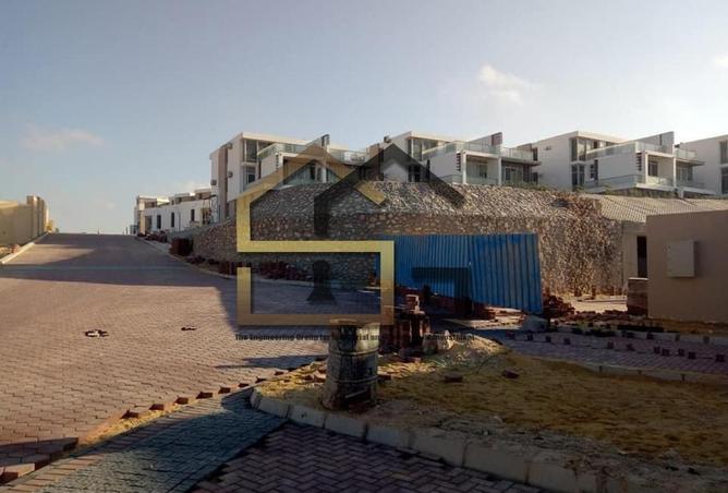 8291724 - صورة العقار 2