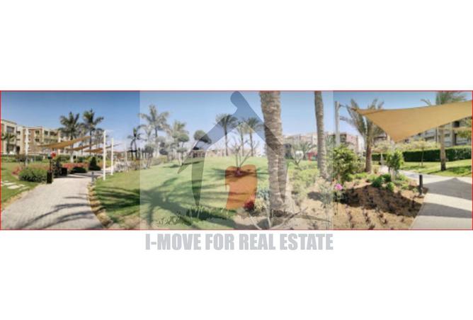 8415302 - Property Image 3