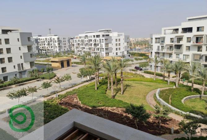 8246167 - Property Main Image