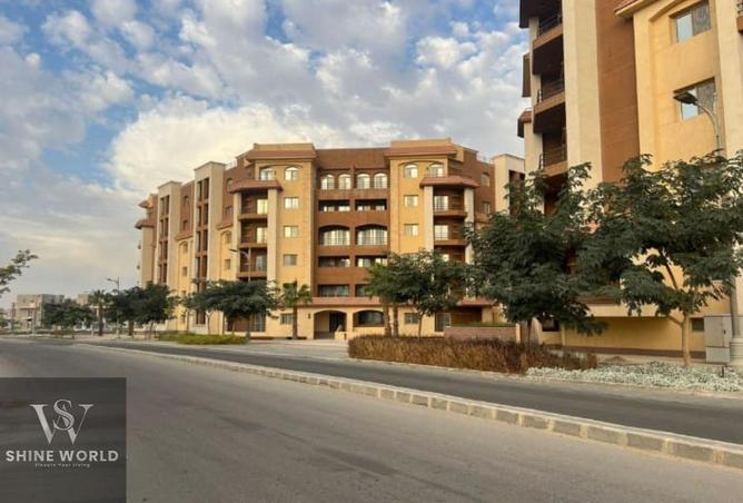 8016697 - Property Image 3