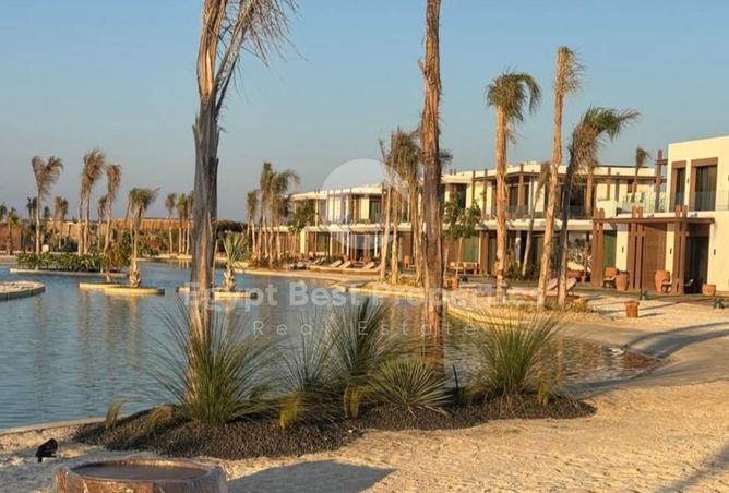 8473865 - Property Image 3