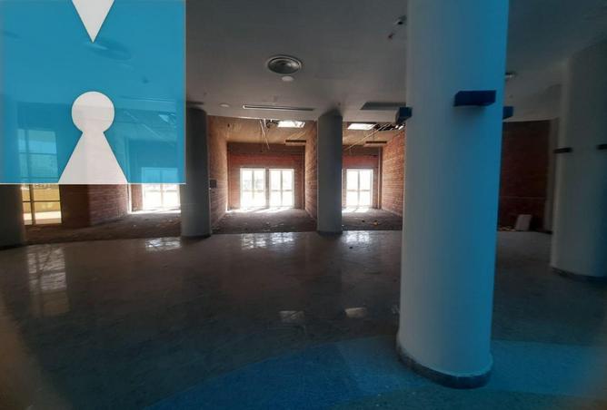 8404405 - صورة العقار 3