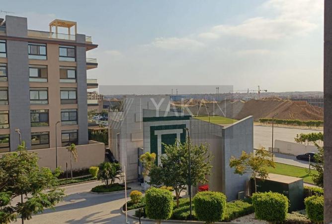 8186208 - Property Image 2