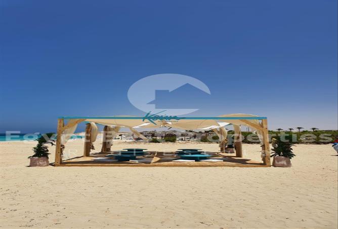 7984290 - Property Image 3