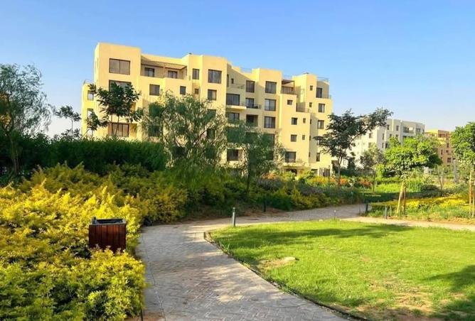 7951689 - صورة العقار 3