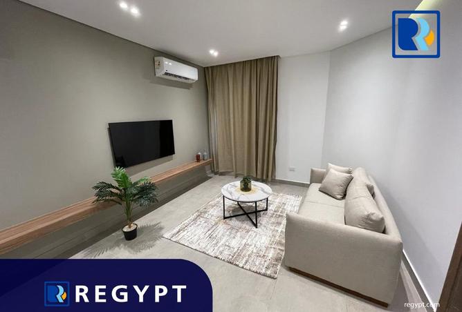 8166886 - Property Image 3