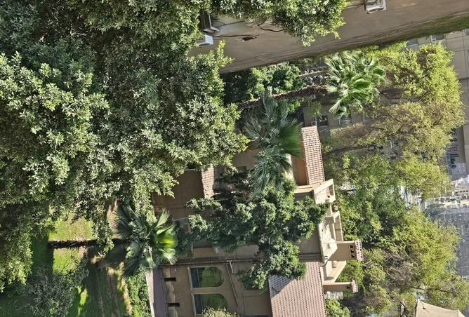 8381339 - صورة العقار 2