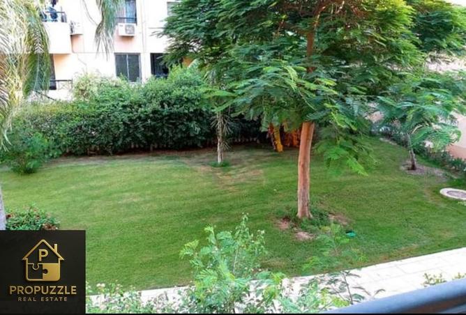 8295473 - Property Image 3