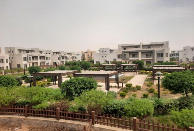 7981656 - صورة العقار 3