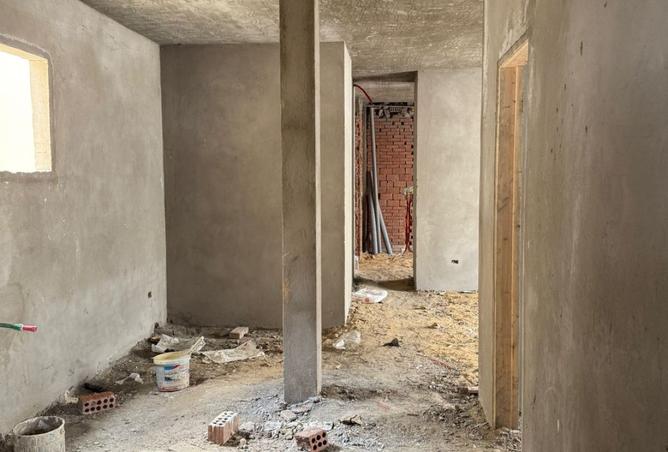 8009650 - Property Image 3