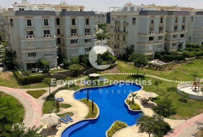 8317419 - Property Image 3