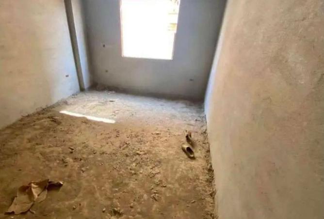 8296359 - Property Image 2