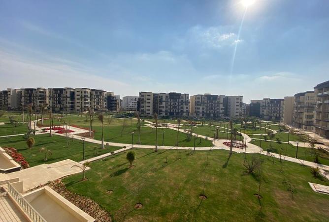 8198501 - Property Image 3