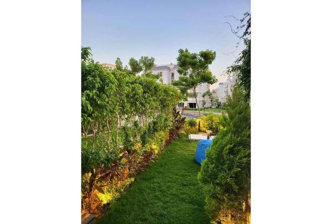 8002091 - Property Image 3