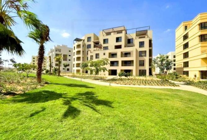8137205 - صورة العقار 3