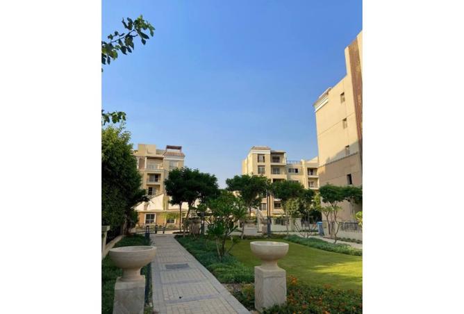 8216305 - Property Image 3