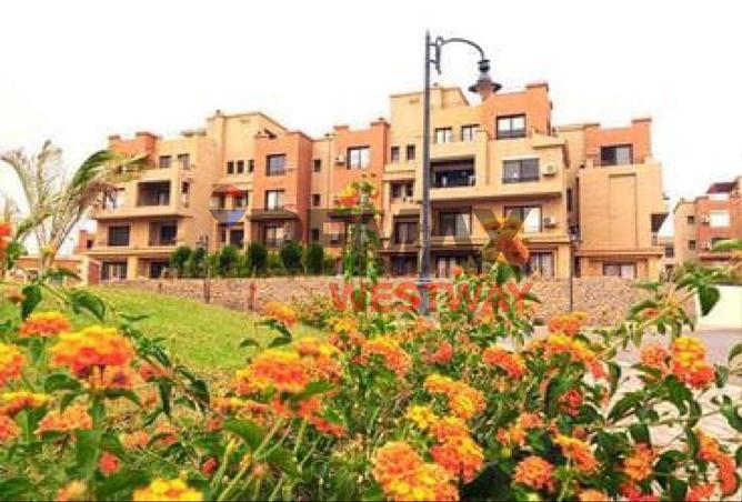 8399525 - صورة العقار 2