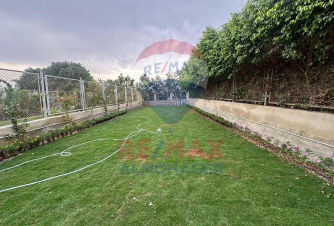 8500162 - صورة العقار 3