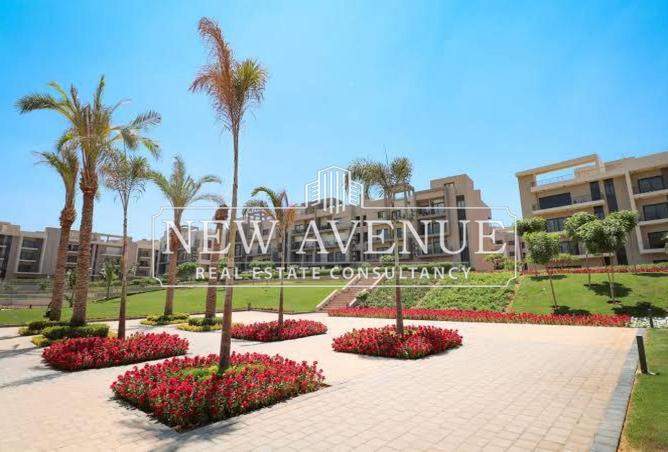 8453410 - Property Image 2